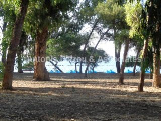 Two Bedroom Apartment on the Beach