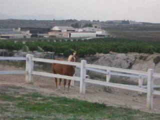 - Property - Murcia - For Sale