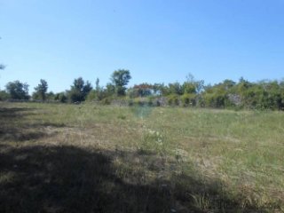 Istra, okolica Vodnjana, građevinsko zemljište