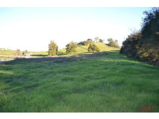 Land For Sale: My Road