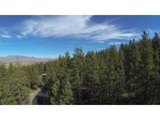 Land For Sale: Washoe Valley, Nevada