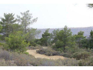 Land - Limassol - For Sale