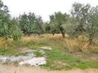 Crete Land For Sale Within Village..