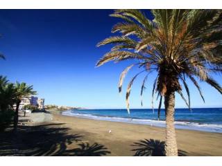 Apartment for sale and for rent in San..