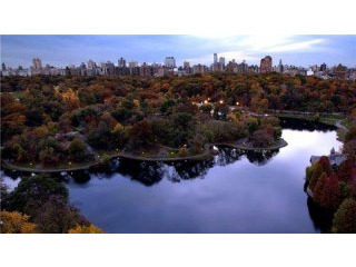 1 Bedroom - Condo - New York State -..