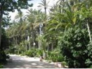 Apartment, Alicante (Costa Blanca)..