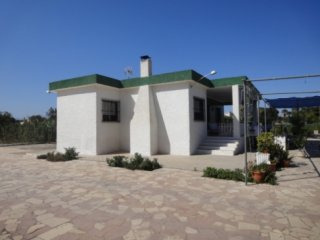 Typical Spanish Villa In Elche-Valverde..