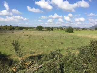 Plot Of Land Of 15,000 M2