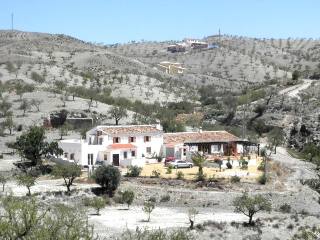 Villa For Sale In Albox, Almería