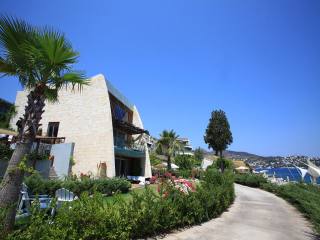 Luxury Golturkbuku Apartments
