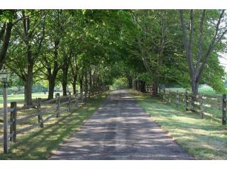 Land For Sale: 11 Griffin Ln