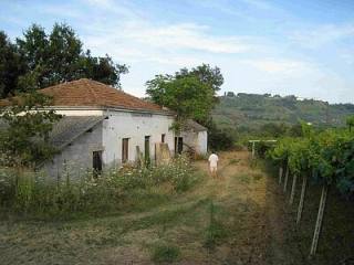 Detached house with vinyard close to..