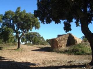 For Sale: Plot In Central Algarve..