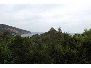 Building land with sea views