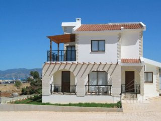 Business Or Investment - Polis - For..