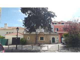 Charming Apartment With Garden In..