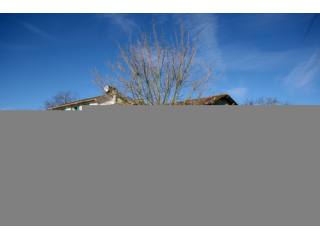 *Stunning fully-renovated stone house..
