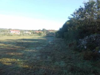 Istra, Vodnja, Galižana, velika parcela (5520 m2) na rubu...