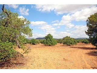 2 building plots with ruine for a..