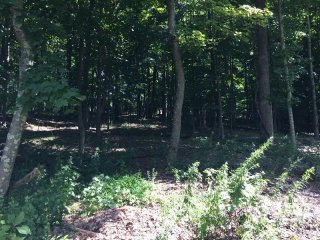 Land For Sale: 16 Hollow Ridge Road..