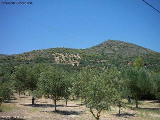 Land - Zakynthos - For Sale