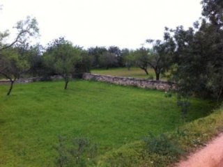 Plot with Good Access Ref.013