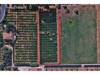 Plot In Denia