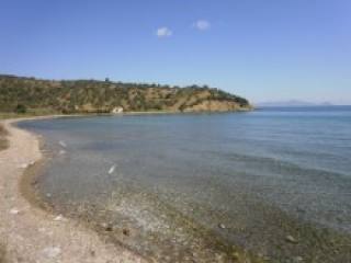 Seafront Land In Greece