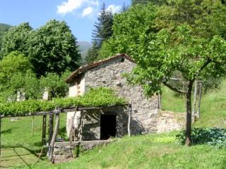 Country/farmhouse - For Sale -..