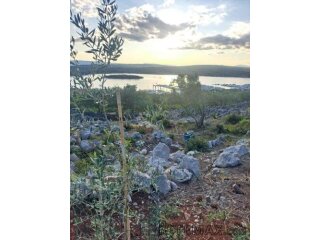 Vaš kutak mediterana – maslinik s pogledom na more