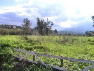 Wonderful Rural Setting: Building Plot..