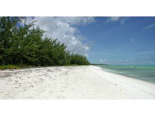 Land In Bambarra, Middle Caicos