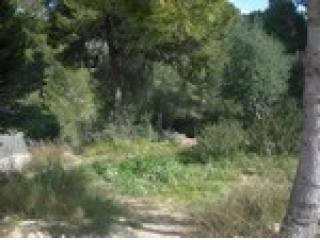 - Land - For Sale