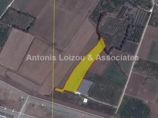 9,365 m2 farm filed in Timi
