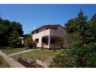 KUĆA U BARBARIGI S 3 APARTMANA NA VELIKOJ OKUĆNICI
