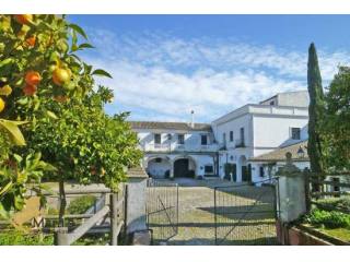 se vende Cortijo, Finca, Casa de campo..
