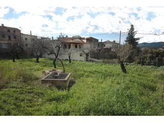 Plot - Calvia