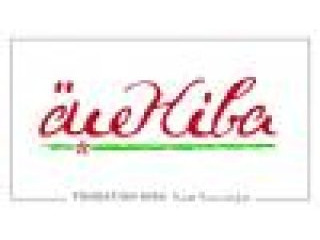 Assistante de Direction Bilingue