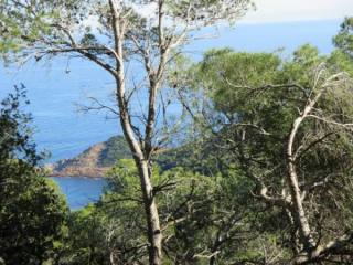 PLOT IN BEGUR