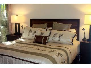 Aina Nalu Condo D210