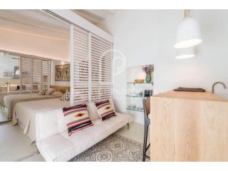 Stylishly renovated studio with terrace..
