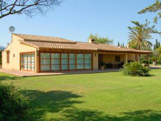 Delightful country house with vineyard..