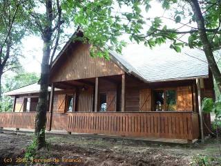 Charming Wood-Built House In Forest..
