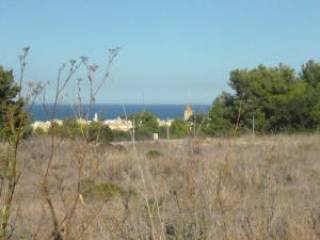 Colonia de San Pedro, urban plots ideal..