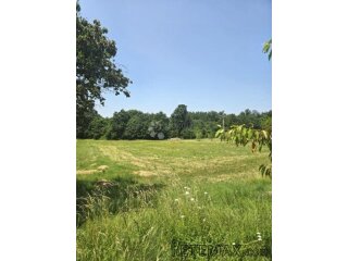 Zemljišta Barban - blizina struje i vode!
