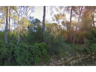plot for sale in costa de la calma