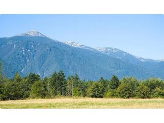 Land in Bansko, Albena