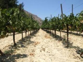 Invest On Land In Greece