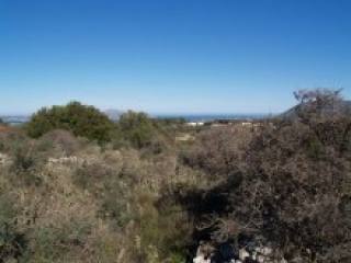 Vamos Land For Sale