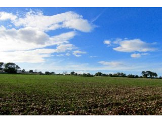 Nice and quiet plot with views to the..